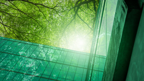 Caring for the Environment