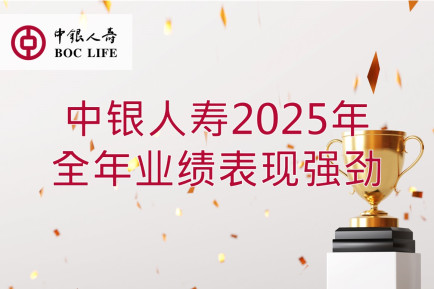 2025年全年业绩