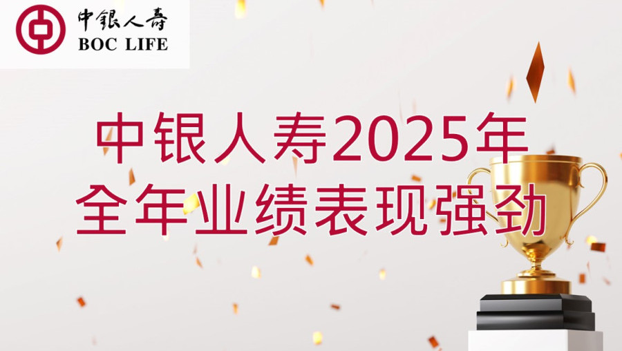 2025年全年业绩